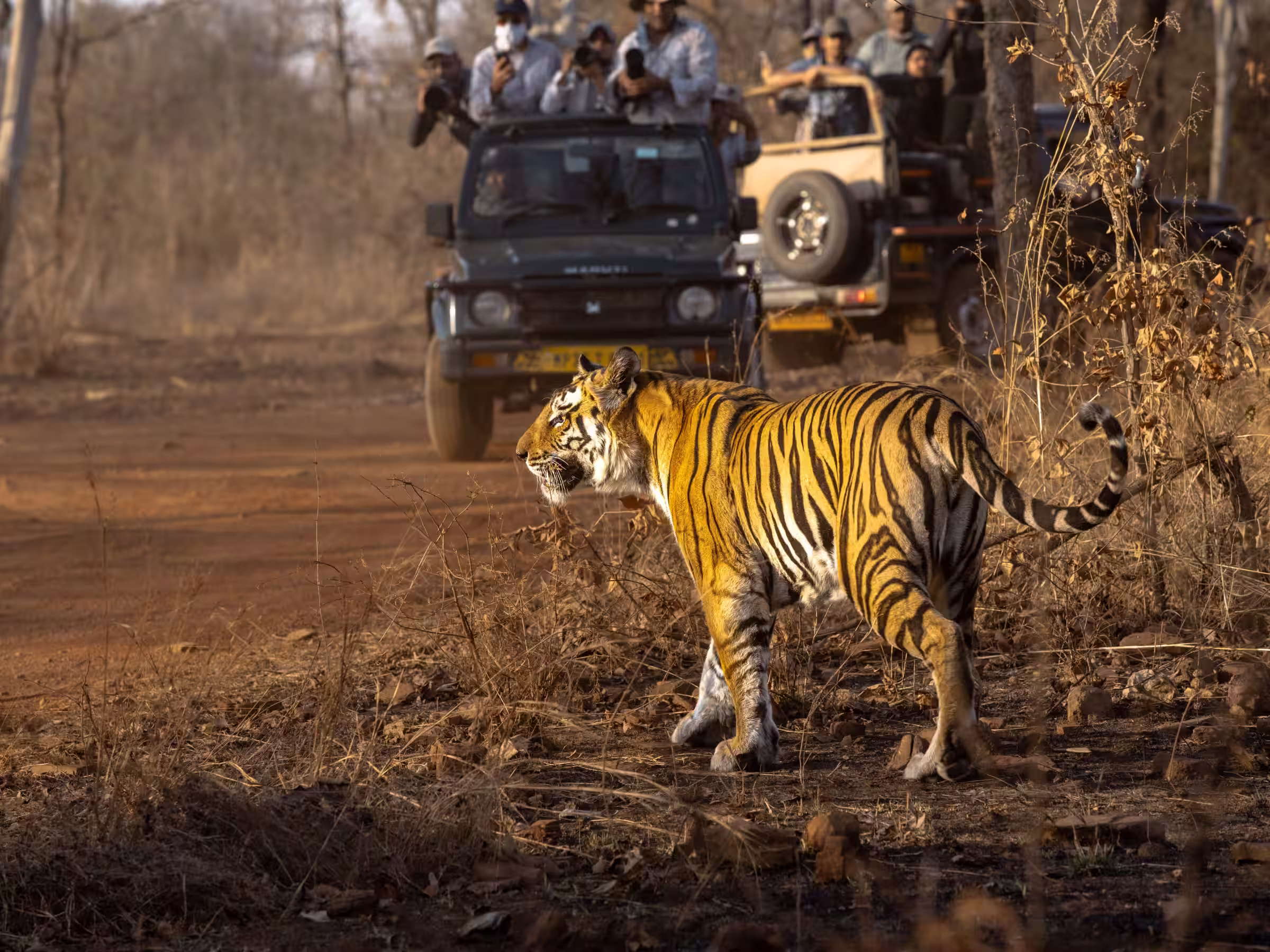 Lush India travel scene in August
