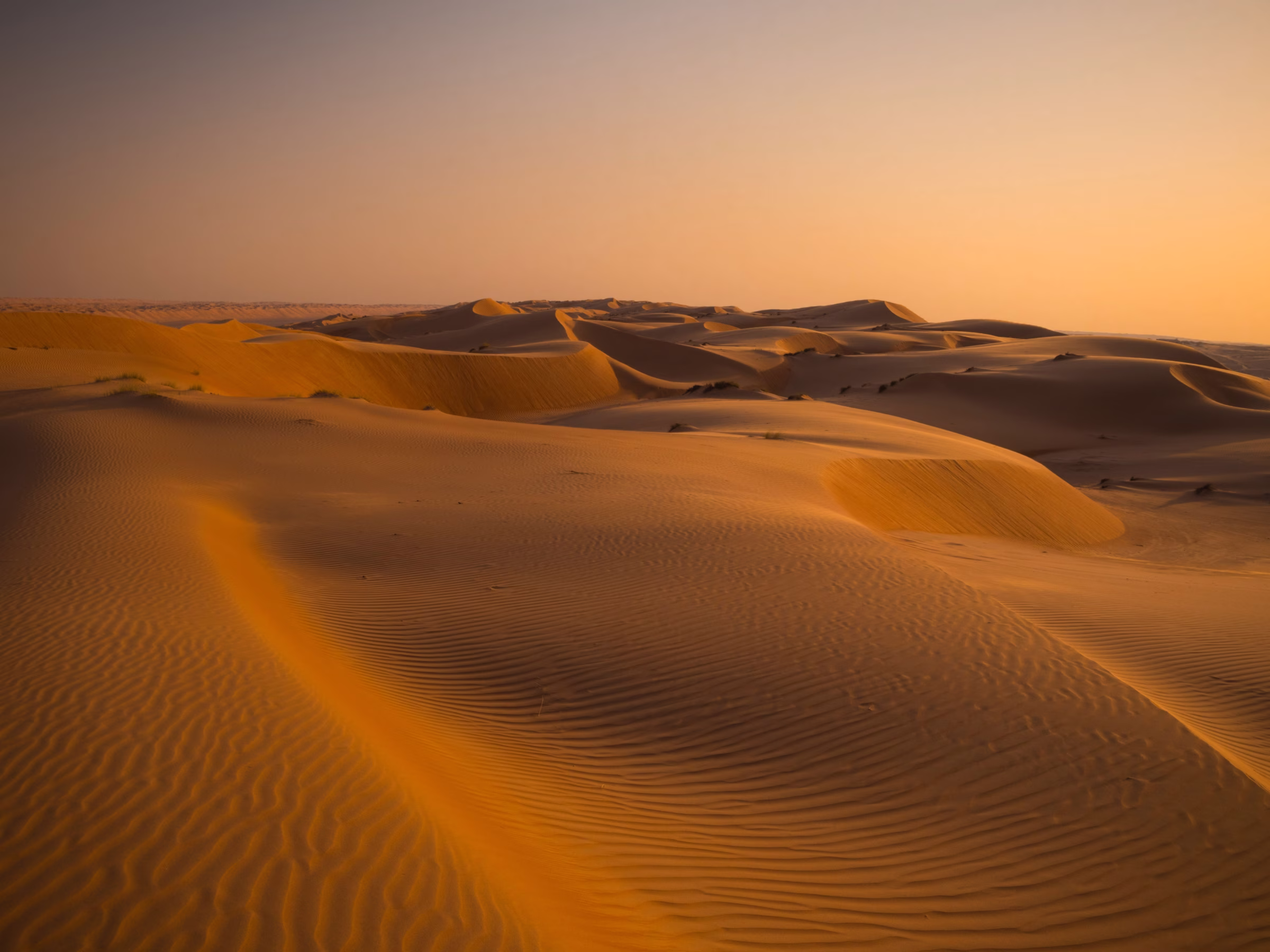 Oman desert landscape