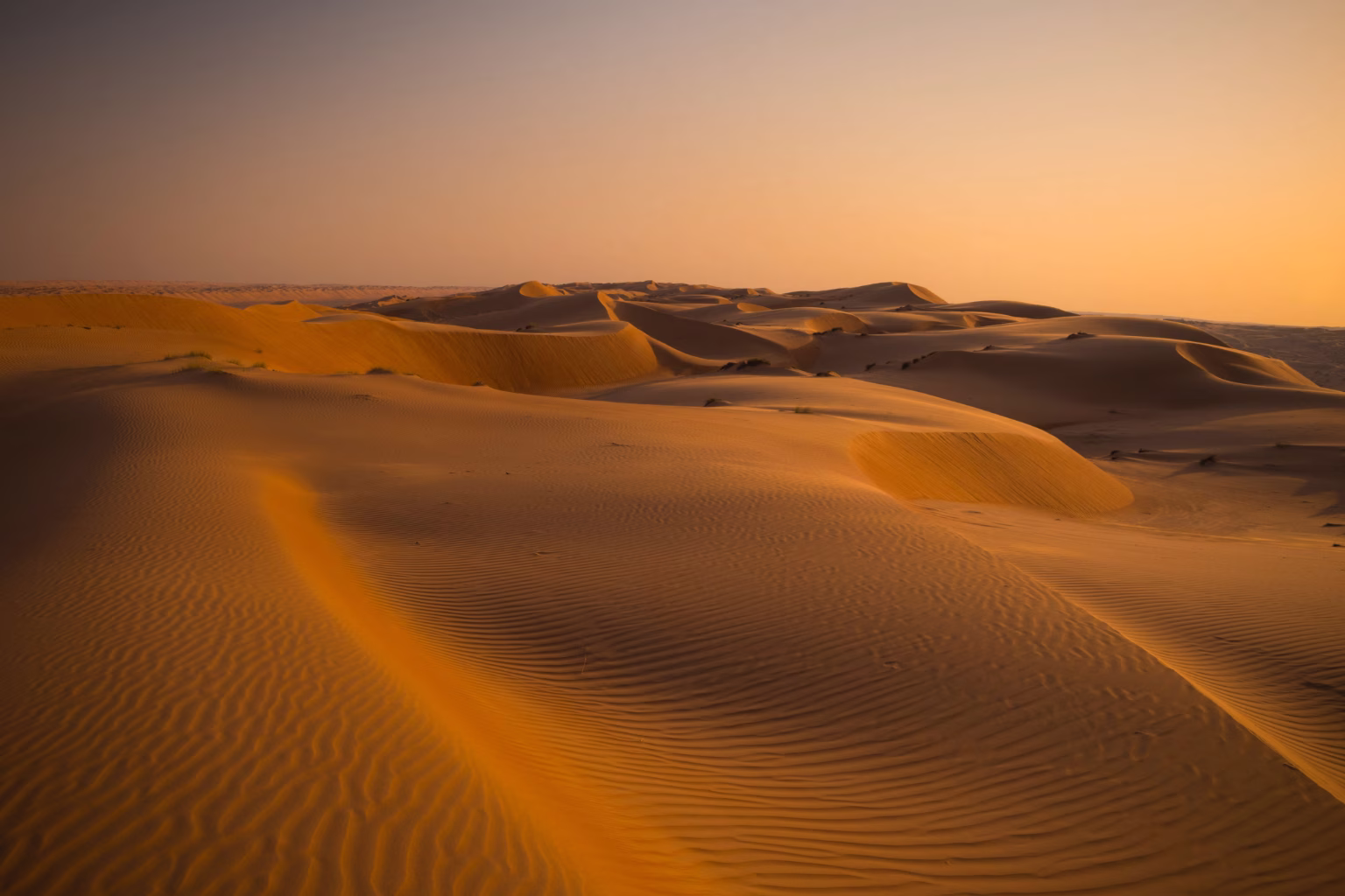 A memorable scene from Oman